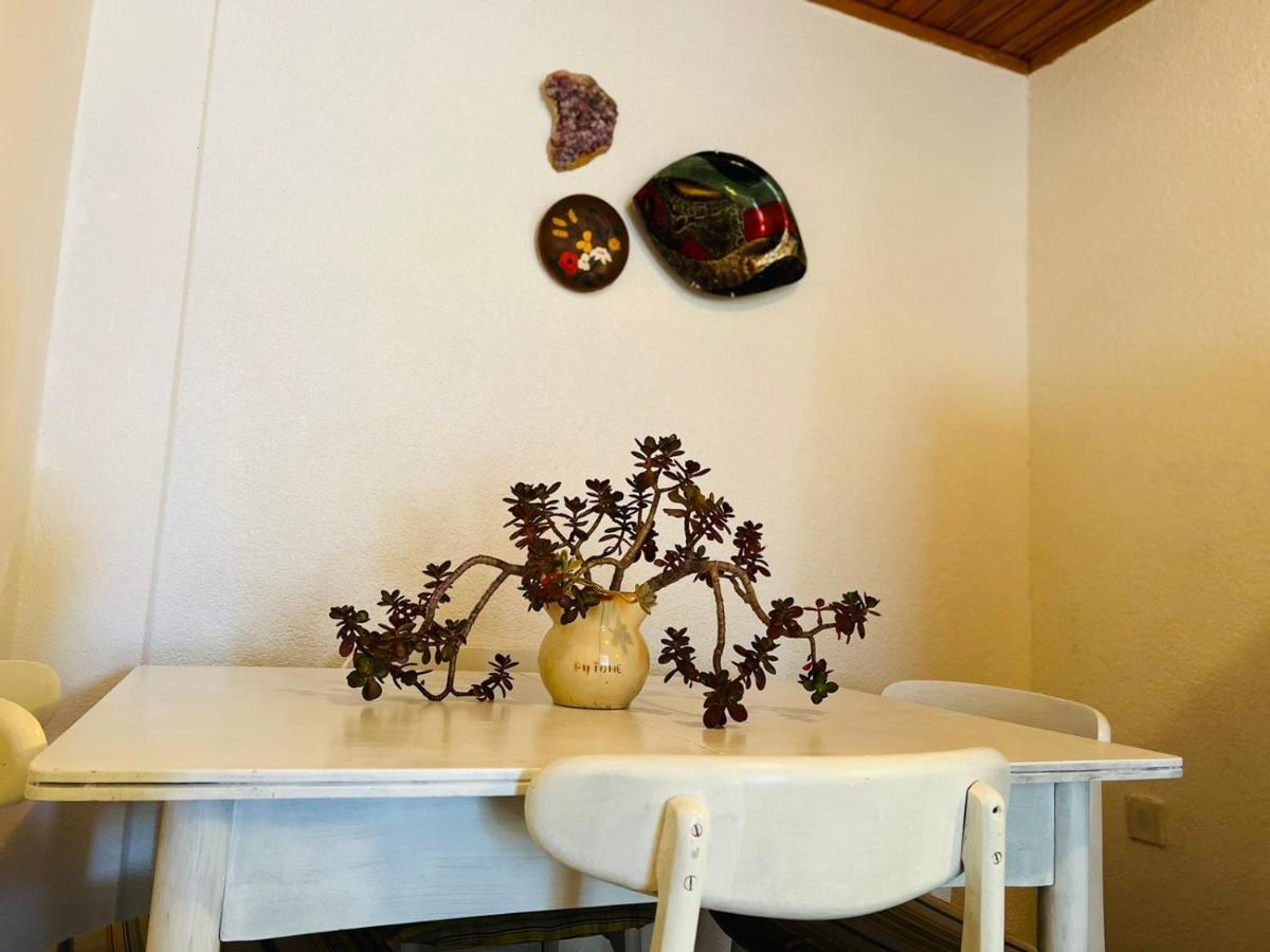 Sea Breeze Apartments With Private Beach And Boat Anchorage ستارا نوفالجا المظهر الخارجي الصورة